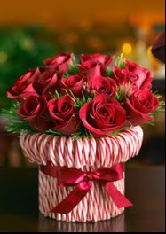 CandyCanes